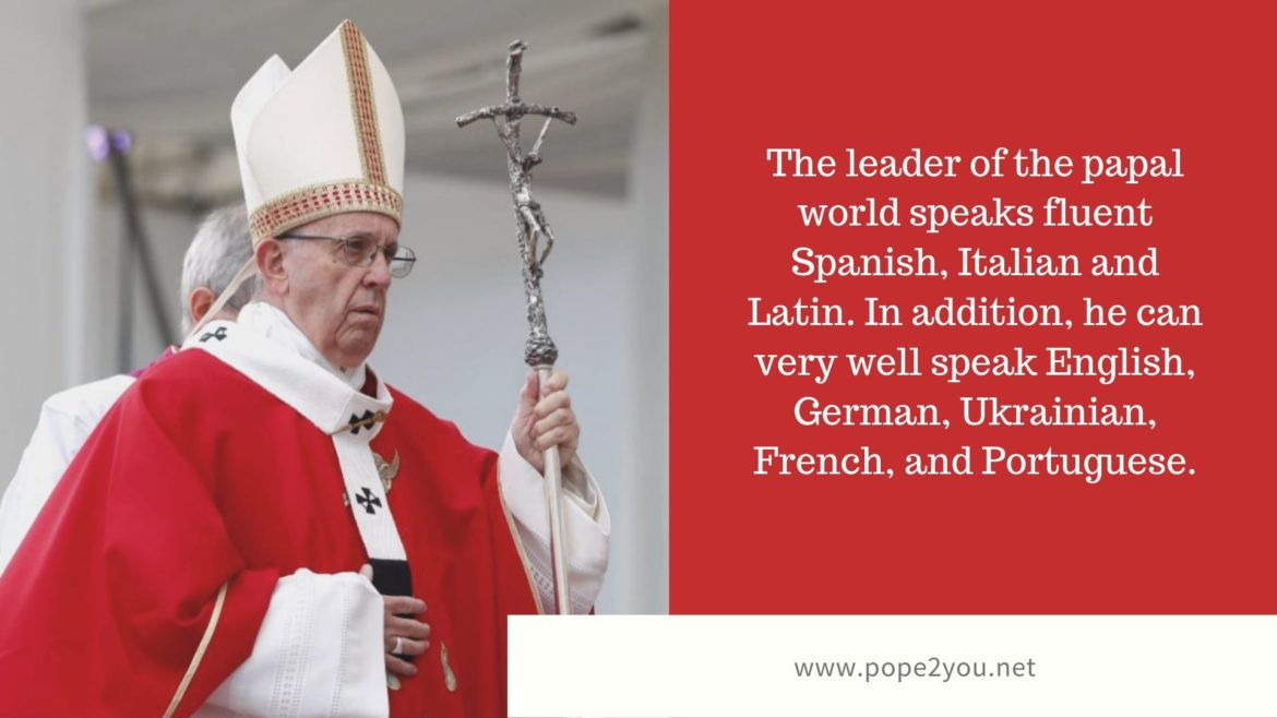 Pope Francis Facts Pope  Vatican 2023